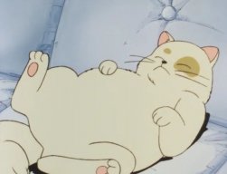 aFluffyGoober