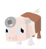 AJ.jpg