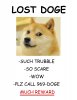 lost-doge-print.jpg