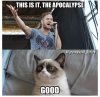 Grumpy Cat.jpg