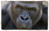 upload_2016-8-24_19-20-27.png