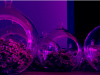 upload_2016-12-28_20-7-17.png