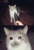 FB_IMG_1492515494317.jpg