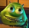 touchingmymemes.jpg