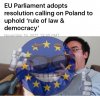 poland eu meme.jpg