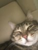 B476CCDB-9845-43DE-A0DB-F8B961AAD347.jpeg