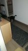 IMG_20190104_073446.jpg