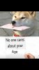 9284DAE4-7FE8-456C-978D-212202FF9218.jpeg