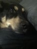upload_2019-6-12_2-2-37.jpeg