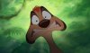 timon-s-scared-face-timon-25886614-640-380.jpg