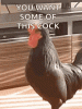 ADDB9155-C2EB-408B-AD36-22AD6CFE8319.gif