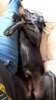 IMG-20210405-WA0002.jpeg