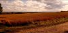 Screenshot_20210822-191138_Gallery.jpg
