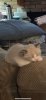 56DD142A-CC6C-492B-AE91-6A58700AD44A.jpeg