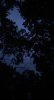 315B8370-20F7-483A-995E-B9B26F515081.jpeg