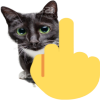 4287-middle-finger-cat.png