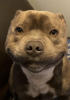 Screenshot_20230816-015659.png