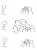 IMG_2393.jpeg