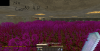 2014-05-09_15.49.26.png