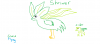 Pokemon Shrimer.png
