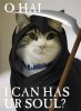 grim-reaper-cat.jpg