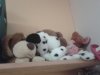20140704_074240.jpg