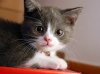 upload_2014-7-18_16-36-47.jpeg