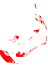 images.png