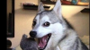 f6e32bd2a06aa48f27a70b54adfde8e7.png