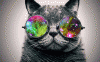 CatWithGlassesomg.gif