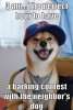annoying-dog-1.jpg