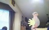 KINDLE_CAMERA_1415114743000.jpg