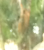Screen Shot 2014-12-25 at 10.09.41 AM.png