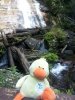 20140921_113412.jpg
