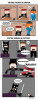 survivalvsfactions.png