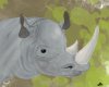 Completed Rhino Savanna Theme Splatter Signed jpeg.jpg