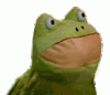 Frogloz.gif