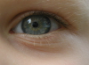 blue_green_gray_eyes.png