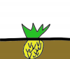 Pineapples_are_a_root_vegetable.png