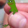 image.jpeg