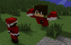 witherpacer.PNG
