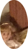 oa1I2FH.png