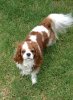 upload_2016-2-24_21-22-42.jpeg