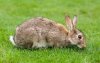 upload_2016-3-29_19-50-39.jpeg