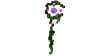 Terra.png