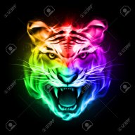 JessTheTiger