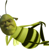 apotato