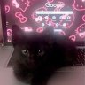 neela