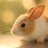 _PandaPaladin_